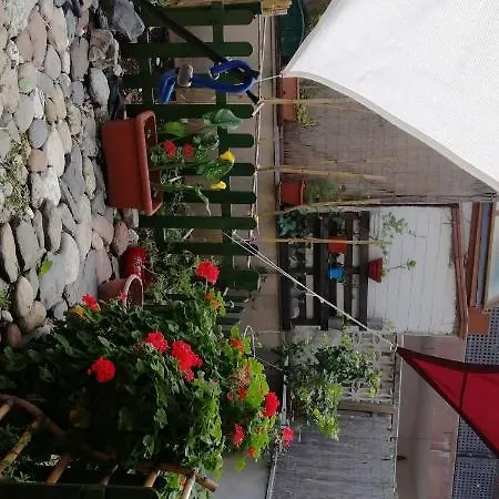 Amplio Espacio Privado Con Patio *
